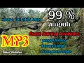 Download Lagu Suara pikat burung gelatik batu. buktikan sendiri.