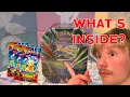 What s Inside the Xerneas ex Tin Is It Actually Worth It