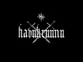 Havukruunu - Routapanssari