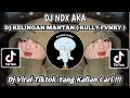 Download Lagu DJ KELINGAN MANTAN | AKU BINGUNG KUDU GOLEK KOE NENG ENDI | NDX AKA | DJ VIRAL FYP TIKTOK 2024 !!!