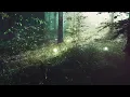 Nils Hoffmann feat. Panama - Far Behind