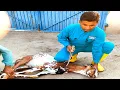 Download Lagu Bakra zibha karny ka tarika | Mutton cutting skills practic by pk Village food Secrets