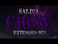 Crows - Saliva (Extended Mix)