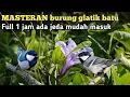 Download Lagu MASTERAN BURUNG GLATIK BATU GACOR FULL 1JAM ADA JEDAH MUDAH MASUK