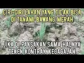 Download Lagu CIRI-CIRI LAHAN YANG TIDAK BISA TANAMI BAWANG MERAH