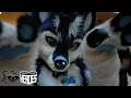 Download Lagu Midwest FurFest 2022 Con Video #MFF2022