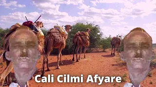 baryo kuma daweyso iyo abwaan cali cilmi afyare