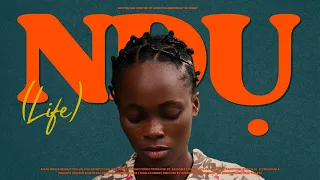 ndu life a nigerian neo noir family drama written and directed by adedotun adebowale ad noble