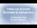 Download Lagu There are Flowers Blooming in Antarctica - An Original Song by Emma Meldrum (me!)