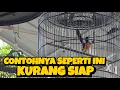 Download Lagu PADAHAL SUDAH GACOR‼️DI LOMBAKAN GA TAMPIL