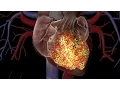 Download Lagu Cardiac Conduction System