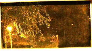 Bigfoot Caught Looking Through Window ThinkerThunker