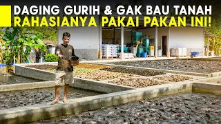 Kalau Tak Bikin Pakan Sendiri, Saya Sudah Bangkrut!" - Inovasi Pakan Mandiri Budi Fish Farm