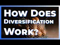 How Does Diversification Work
