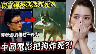 中國電影為了畫面把狗炸S？三個狗狗在電影現場「被過世」的真實事件【希露弟弟啃雞腿】