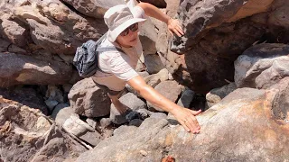 Ep 292 | The Apartments and Animals, Aboriginal Art, Obsorne Islands, Kimberley Sailing Nutshell