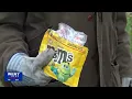 Residents clean up Jungle encampments on Ithaca s West End