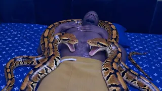 Snake attack a sleeping man