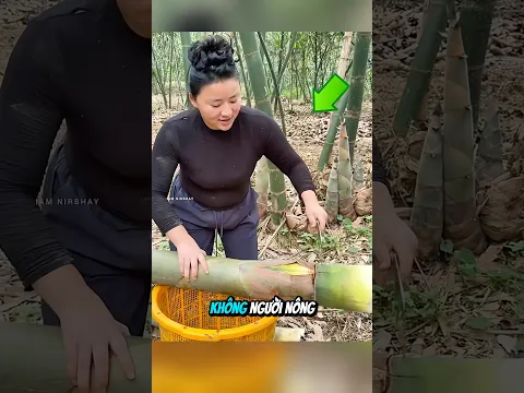 Nông Dân Trung Quốc Không Dám Trồng Loại Cây Này #shorts