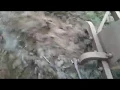 Massey Ferguson 245 and Dearborn 2 Bottom Plow