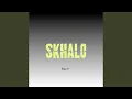 Download Lagu Skhalo