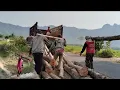 Download Lagu inilah Praktek kerja jaman belanda.!!.tebang kayu jati di target dua truk jumbo dalam sehari