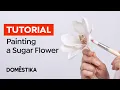 Download Lagu Tutorial voor het decoreren van taarten: Hoe je een suikerbloem schildert en in elkaar zet - Cynthia Irani | Domestika