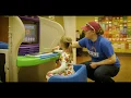 Community Building the Future