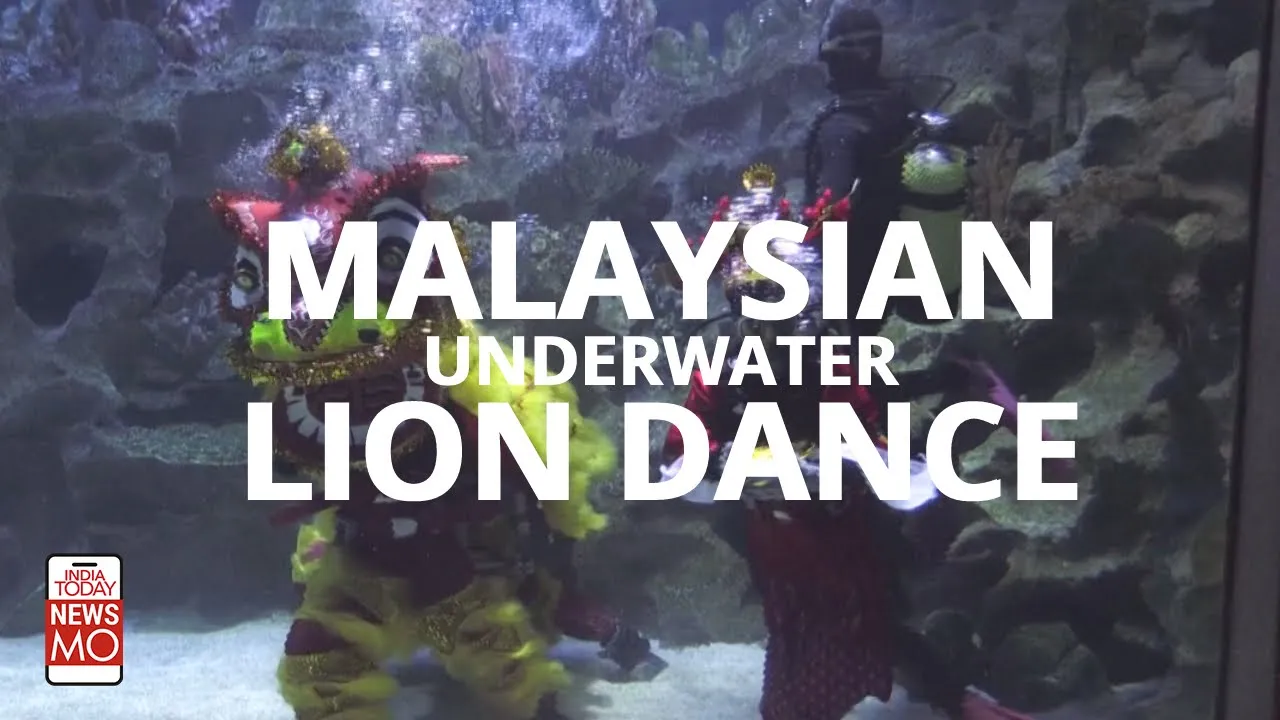 Malaysian Aquarium Holds Underwater Lion Dance For Lunar New Year | NewsMo Malaysian Aquarium Holds Underwater Lion Dance For Lunar New Year | NewsMo