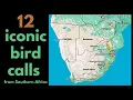 Lagu 12 ICONIC BIRD CALLS from Southern Africa