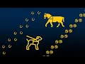 Everything You Need to Know About Service Animals at U-M