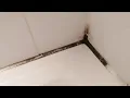 how to clean mouldy silicone