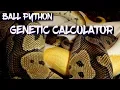 Ball Python Genetic Calculator