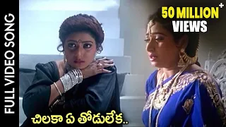subhalagnam movie chilaka ye thodu leka video song jagapathi babu aamani shalimarcinema