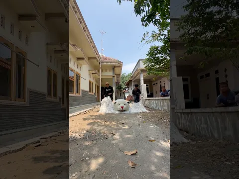 Cara pakai kostum can macanan