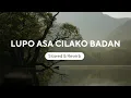 Download Lagu Lupo Asa Cilako Badan (Slowed \u0026 Reverb)
