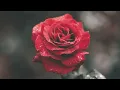 Veinticinco rosas - Joan Sebastian
