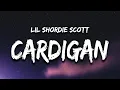 Lagu i wanna take a pic with Cardi B inside my cardigan - lil Shordie Scott (Lyrics) TikTok Song