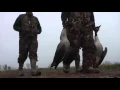 Eating Canada geese a delicious solution to New Jersey s goose problem