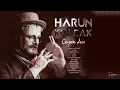 Harun Kolçak - Gitme Seviyorum (feat. Tan Taşçı) (Official Audio)