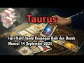 Download Lagu Ramalan Keuangan Taurus Hari Ini‼️Hati-Hati! Tanda Keuangan Baik dan Buruk Muncul 14 September 2025