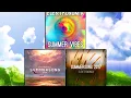 Elektronomia - Summersong 2017/2018/Vibes Mashup