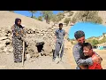 Download Lagu 🌄Life of the Dinda Family: A Day in the Nomadic Wilderness\