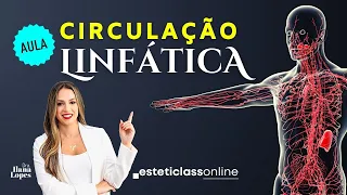 CIRCULAÇÃO LINFÁTICA  !  #aula
