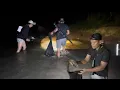 Download Lagu KITA B3RBURU WADER LAGI ||  KALI INI POIN IKAN GABUS BESAR 🔥