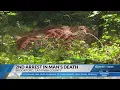 2nd suspect arrested in connection with Catawba County man s death
