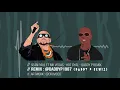 Sean Paul Ft Mr Vegas - Hot Gyal - Daddy P Remix