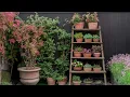 Download Lagu Charmante tuinhoekjes gemaakt van kringloopvondsten | Ideeën voor buitendecoratie in een cottage ...