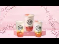 NEW Tea Amo Sakura Series