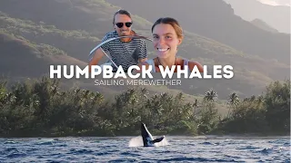 If the WHALES keep this up we might HIT THEM | Ep 100 | Sailing Merewether
